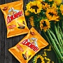Sonnenblumenkerne geröstet TM „Jinn“ Premium