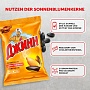 Sonnenblumenkerne geröstet TM „Jinn“ Premium